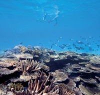 Australian Institute of Marine Science - Accommodation Main Beach