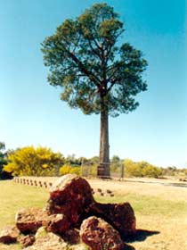 Cunnamulla QLD Accommodation Main Beach