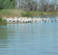 Lake Ross - Accommodation Main Beach