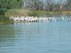 Lake Ross - Accommodation Main Beach 0