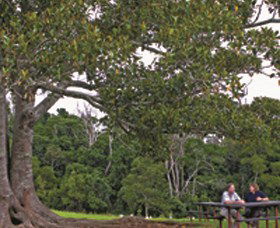 Ravensbourne National Park - Accommodation Main Beach 0