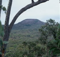 Mount Fox - Accommodation Main Beach