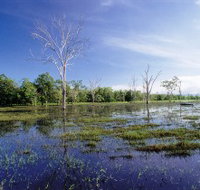 Tyto Wetlands - Accommodation Main Beach