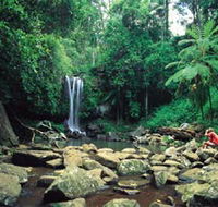 Tamborine National Park - Accommodation Main Beach