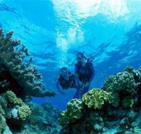 Coral Gardens Dive Site - Accommodation Main Beach