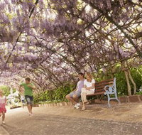 Laurel Bank Park - Accommodation Main Beach