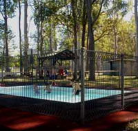 Teddington Weir and Picnic Reserve - Accommodation Main Beach