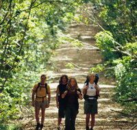 Wet Tropics Great Walk - Accommodation Main Beach