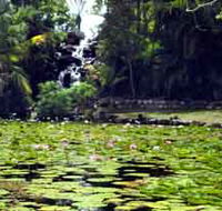 Queens Park Waterfall - Accommodation Main Beach
