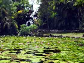 Queens Park Waterfall - Accommodation Main Beach 0