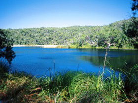Karboora Track - Accommodation Main Beach 0