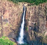 Buujan Quiinbiira Walk Wet Tropics Great Walk - Accommodation Main Beach