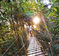 Tree Top Walkway - Accommodation Main Beach