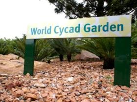 Anderson Park Botanic Gardens - Accommodation Main Beach 0
