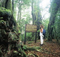 Tooloona Creek circuit - Accommodation Main Beach