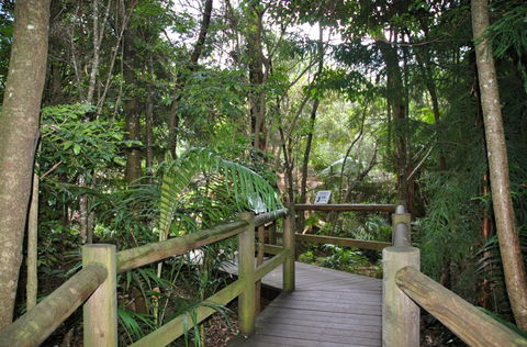 Cedar Creek Estate - Accommodation Main Beach 1