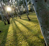 Tondoon Botanic Gardens - Accommodation Main Beach