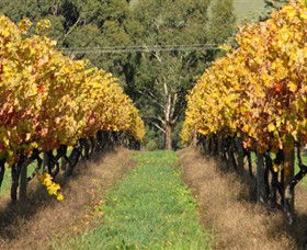 Wild Dog Winery & Restaurant - Accommodation Main Beach 0