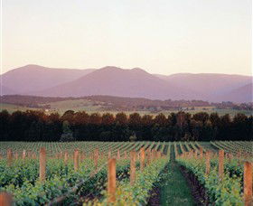 Domaine Chandon - Accommodation Main Beach 0