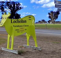 Locheilan Farmhouse Cheese - Accommodation Main Beach