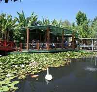 Blue Lotus Water Garden - Accommodation Main Beach