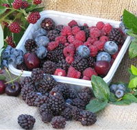 Bright Berry Farms - Accommodation Main Beach