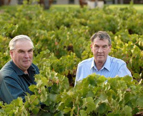 Campbells Wines - Accommodation Main Beach 0