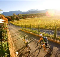 Boyntons Feathertop Winery - Accommodation Main Beach
