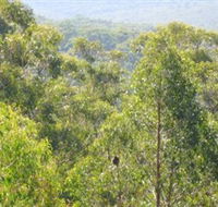 Bunyip State Park - Accommodation Main Beach