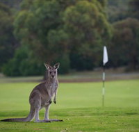Anglesea Golf Club - Accommodation Main Beach