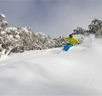 Mt Buller and Mt Stirling Alpine Resort - Accommodation Main Beach