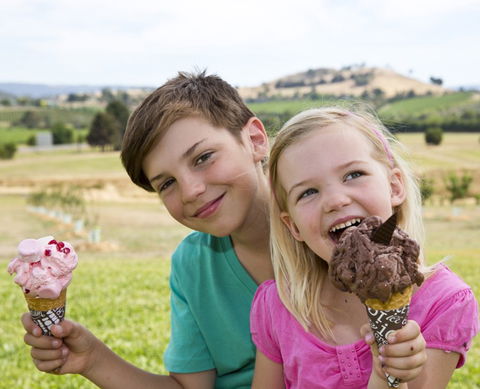 Yarra Valley Chocolaterie & Ice Creamery - Accommodation Main Beach 6