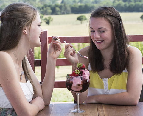 Yarra Valley Chocolaterie & Ice Creamery - Accommodation Main Beach 8