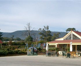 The Big Bouquet - Accommodation Main Beach 0