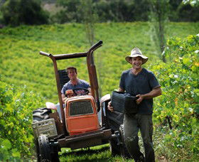 Kellybrook Winery & Kelly Brothers Cider - Accommodation Main Beach 0