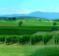 Acacia Ridge Vineyard - Accommodation Main Beach
