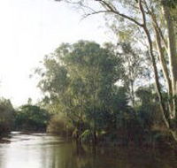 Banksia Park - Accommodation Main Beach