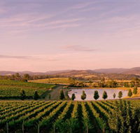 Oakridge Wines - Accommodation Main Beach