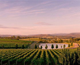 Oakridge Wines - Accommodation Main Beach 0