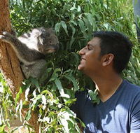 Healesville Sanctuary - Accommodation Main Beach