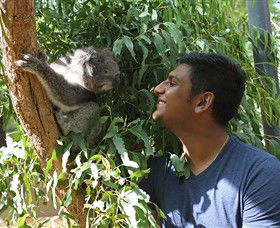 Healesville Sanctuary - Accommodation Main Beach 0