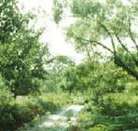 Holey Plains State Park - Accommodation Main Beach