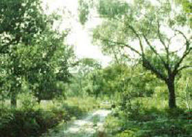 Holey Plains State Park - Accommodation Main Beach 0