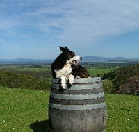 Windy Ridge Vineyard and Winery - Accommodation Main Beach