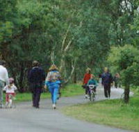 Birrarrung Park - Accommodation Main Beach