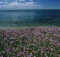 The Lakes National Park - Accommodation Main Beach