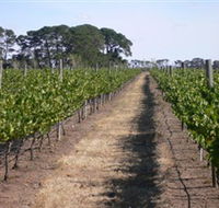 Mount Beckworth Wines - Accommodation Main Beach