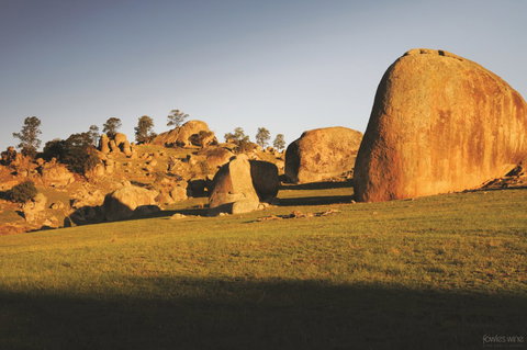 Fowles Wine - Accommodation Main Beach 3
