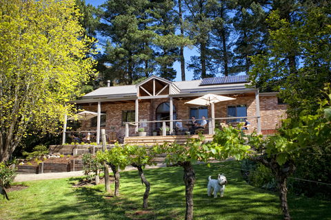 Main Ridge Estate - Accommodation Main Beach 2