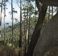 Gulaga National Park - Accommodation Main Beach